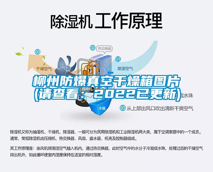 柳州防爆真空干燥箱圖片(請(qǐng)查看:2022已更新)