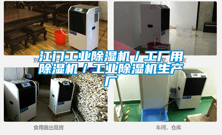 江門工業除濕機/工廠用除濕機/工業除濕機生產廠