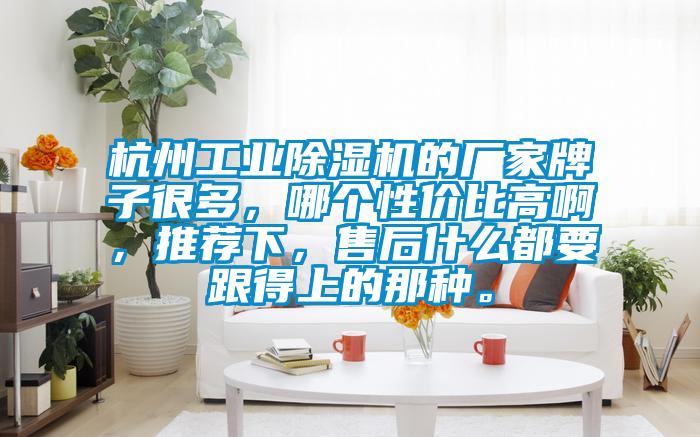 杭州工業除濕機的廠家牌子很多，哪個性價比高啊，推薦下，售后什么都要跟得上的那種。