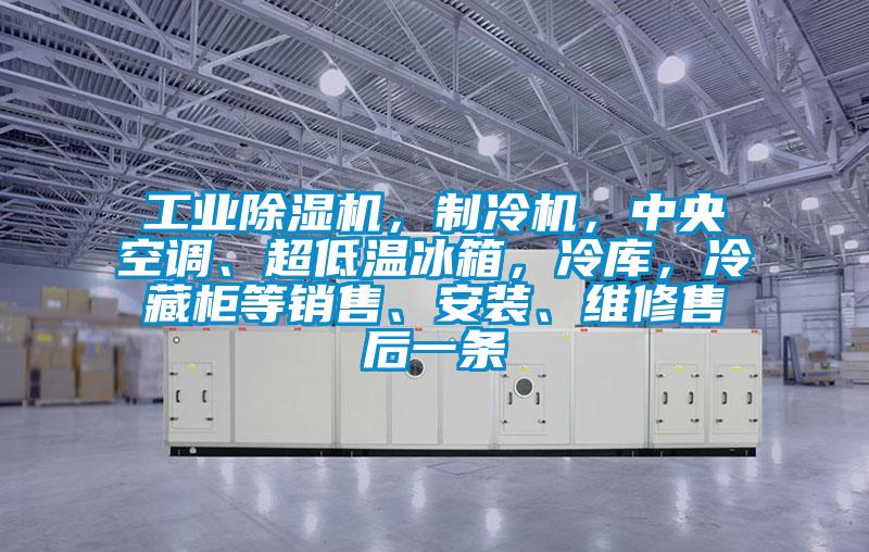 工業除濕機,制冷機,中央空調、超低溫冰箱,冷庫,冷藏柜等銷售、安裝、維修售后一條