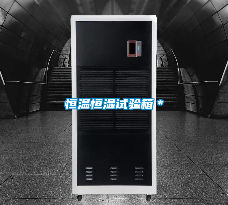 恒溫恒濕試驗(yàn)箱*