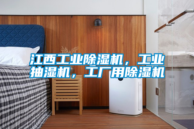 江西工業(yè)除濕機,工業(yè)抽濕機,工廠用除濕機