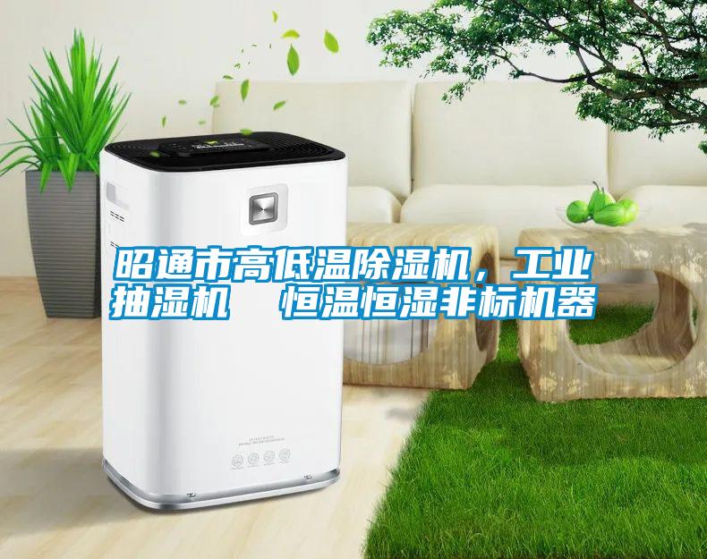 昭通市高低溫除濕機,工業(yè)抽濕機 恒溫恒濕非標(biāo)機器