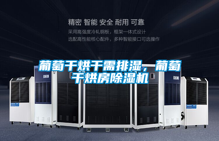 葡萄干烘干需排濕,葡萄干烘房除濕機