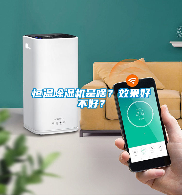 恒溫除濕機(jī)是啥?效果好不好?