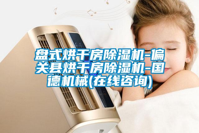 盤(pán)式烘干房除濕機(jī)-偏關(guān)縣烘干房除濕機(jī)-國(guó)德機(jī)械(在線咨詢)