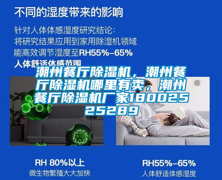 潮州餐廳除濕機(jī),潮州餐廳除濕機(jī)哪里有賣,潮州餐廳除濕機(jī)廠家18002525289