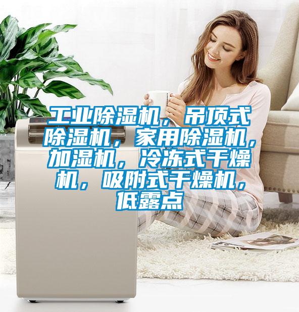 工業除濕機,吊頂式除濕機,家用除濕機,加濕機,冷凍式干燥機,吸附式干燥機,低露點
