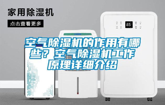 空氣除濕機的作用有哪些？空氣除濕機工作原理詳細介紹