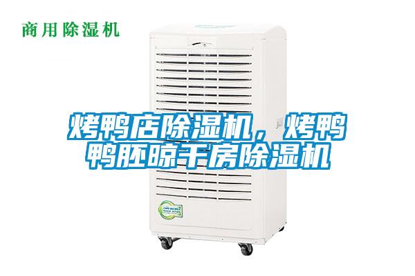 烤鴨店除濕機(jī)，烤鴨鴨胚晾干房除濕機(jī)
