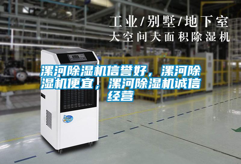 漯河除濕機信譽好，漯河除濕機便宜，漯河除濕機誠信經(jīng)營