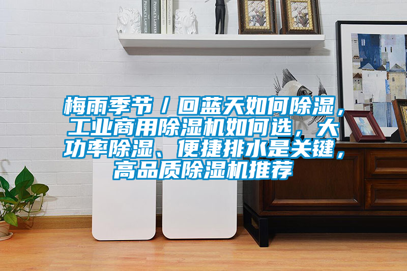 梅雨季節／回藍天如何除濕，工業商用除濕機如何選，大功率除濕、便捷排水是關鍵，高品質除濕機推薦