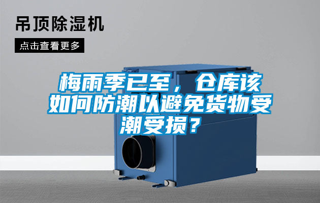 梅雨季已至,倉庫該如何防潮以避免貨物受潮受損?