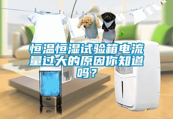 恒溫恒濕試驗箱電流量過大的原因你知道嗎？