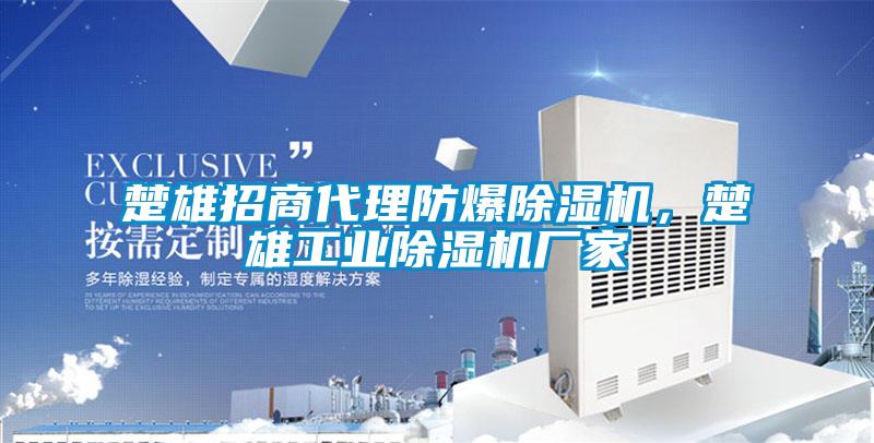 楚雄招商代理防爆除濕機,楚雄工業(yè)除濕機廠家
