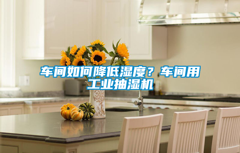 車間如何降低濕度?車間用工業(yè)抽濕機(jī)