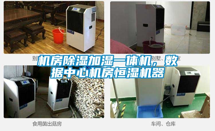 機房除濕加濕一體機，數據中心機房恒濕機器