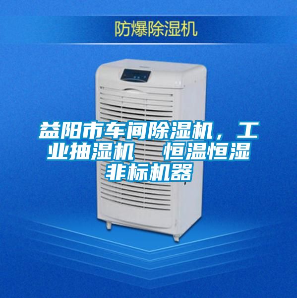 益陽市車間除濕機，工業抽濕機  恒溫恒濕非標機器