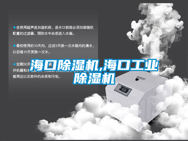 ?？诔凉駲C,?？诠I(yè)除濕機