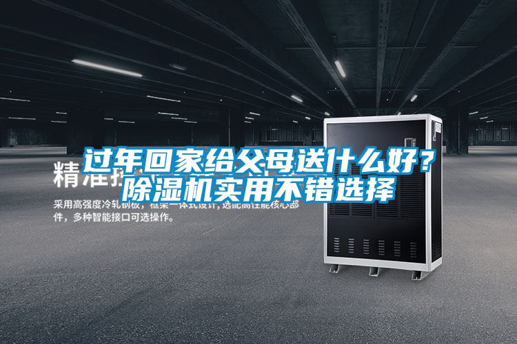 過年回家給父母送什么好?除濕機(jī)實(shí)用不錯選擇