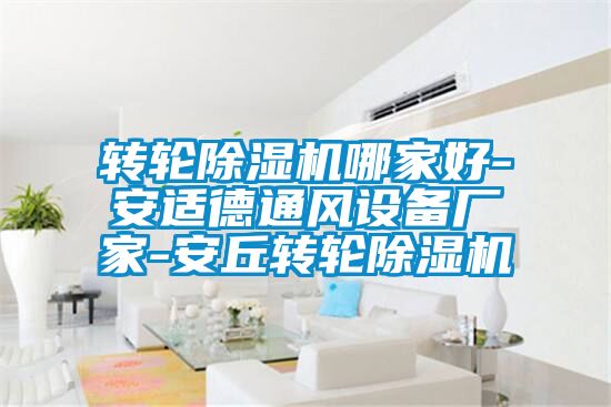 轉(zhuǎn)輪除濕機(jī)哪家好-安適德通風(fēng)設(shè)備廠(chǎng)家-安丘轉(zhuǎn)輪除濕機(jī)