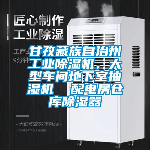 甘孜藏族自治州工業除濕機，大型車間地下室抽濕機  配電房倉庫除濕器