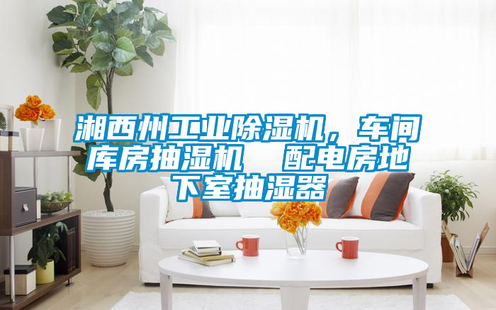 湘西州工業除濕機,車間庫房抽濕機 配電房地下室抽濕器