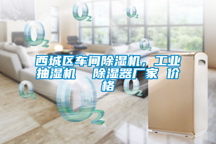 西城區(qū)車間除濕機,工業(yè)抽濕機 除濕器廠家 價格