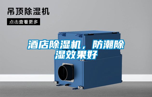 酒店除濕機，防潮除濕效果好