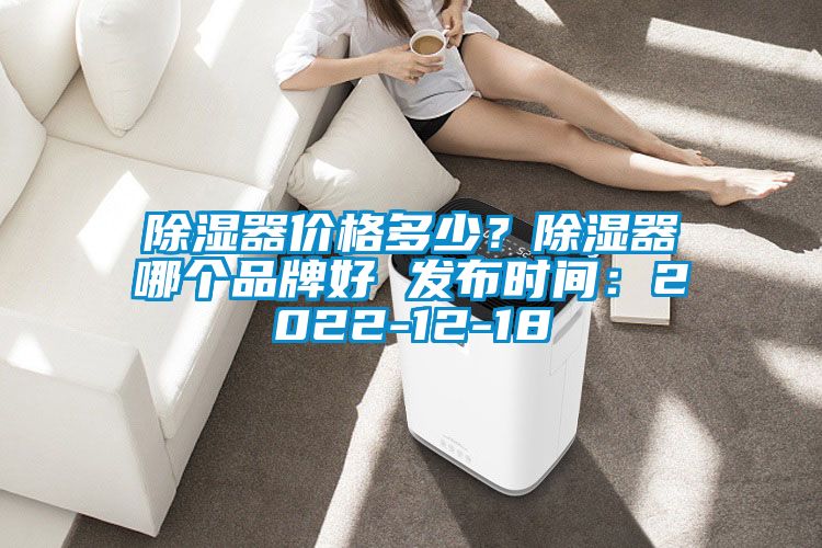 除濕器價格多少?除濕器哪個品牌好 發(fā)布時間:2022-12-18