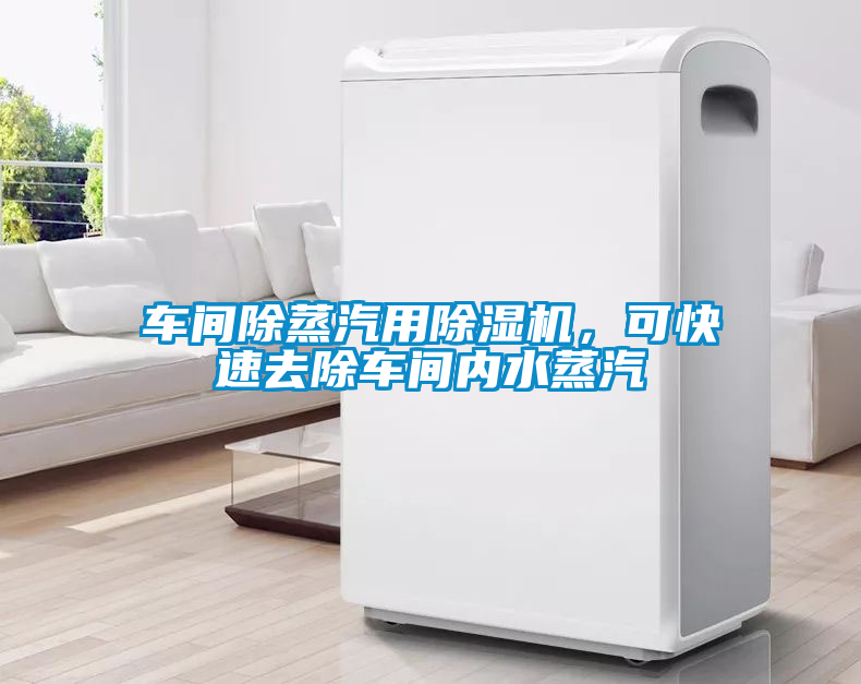 車間除蒸汽用除濕機，可快速去除車間內水蒸汽