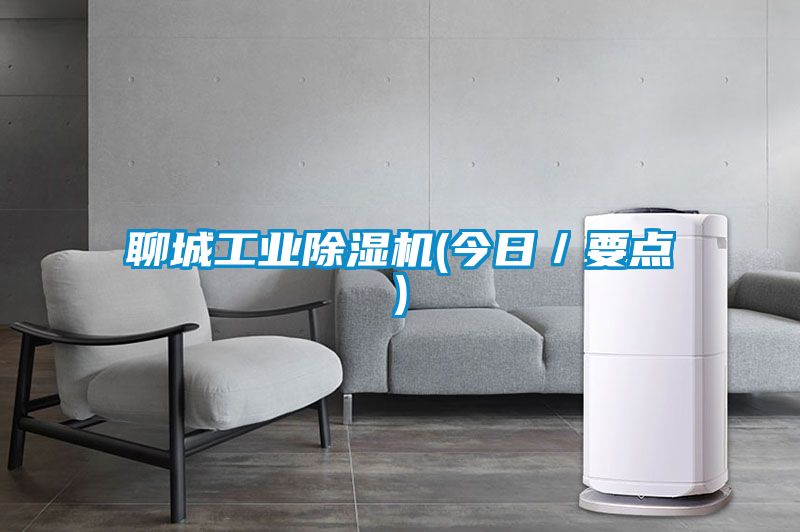 聊城工業(yè)除濕機(jī)(今日/要點(diǎn))