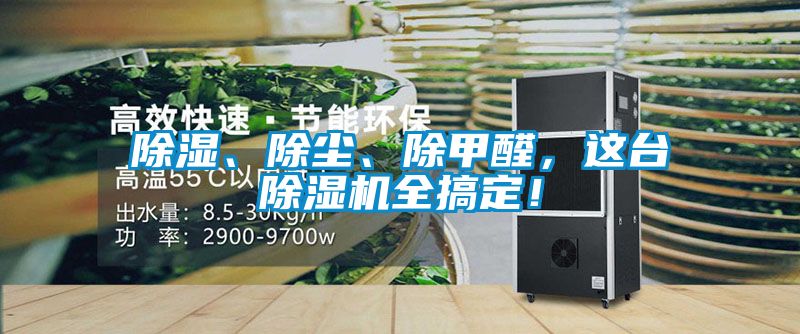 除濕、除塵、除甲醛，這臺除濕機全搞定！