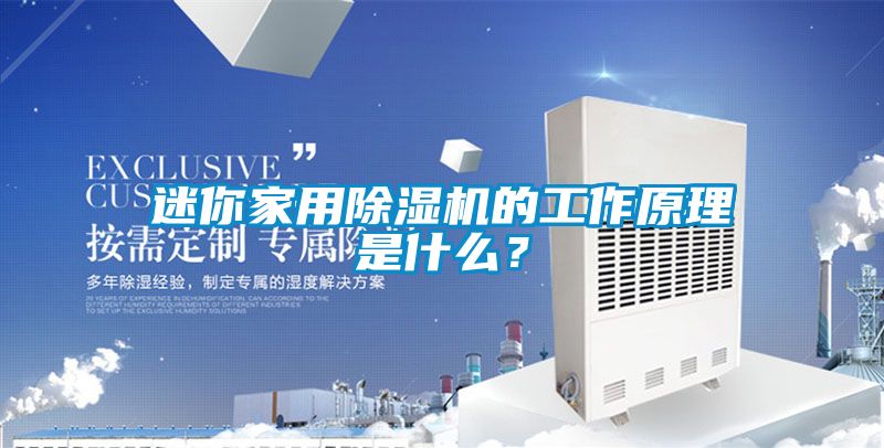 迷你家用除濕機的工作原理是什么?