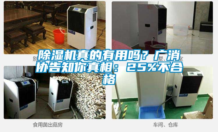 除濕機真的有用嗎?廣消協告知你真相:25%不合格