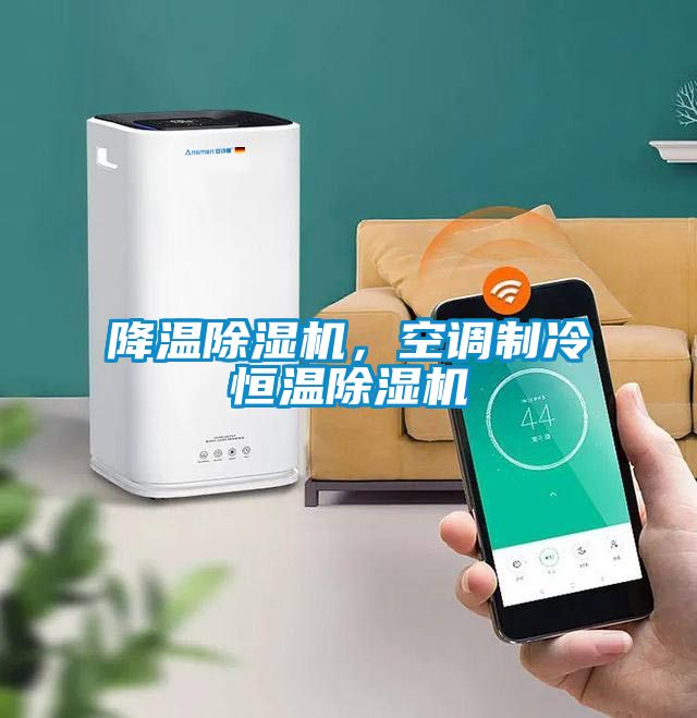 降溫除濕機,空調(diào)制冷恒溫除濕機