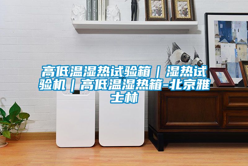 高低溫濕熱試驗箱|濕熱試驗機|高低溫濕熱箱-北京雅士林