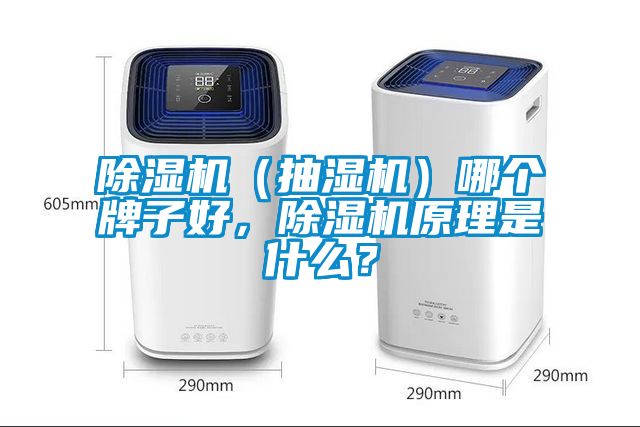 除濕機(抽濕機)哪個牌子好,除濕機原理是什么?