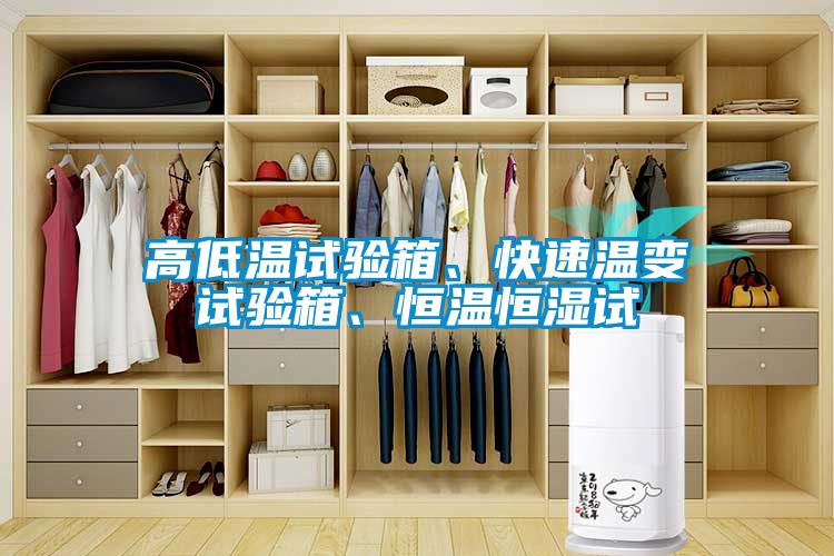 高低溫試驗(yàn)箱、快速溫變試驗(yàn)箱、恒溫恒濕試