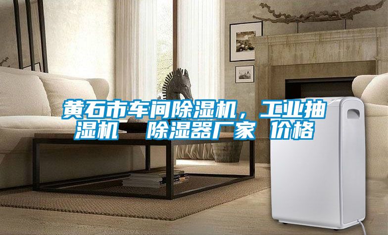 黃石市車間除濕機(jī),工業(yè)抽濕機(jī) 除濕器廠家 價格