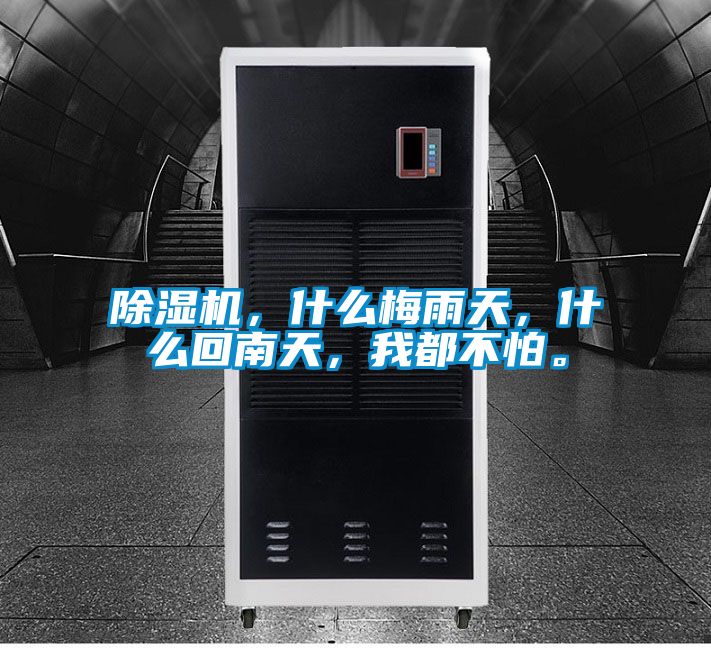 除濕機,什么梅雨天,什么回南天,我都不怕。