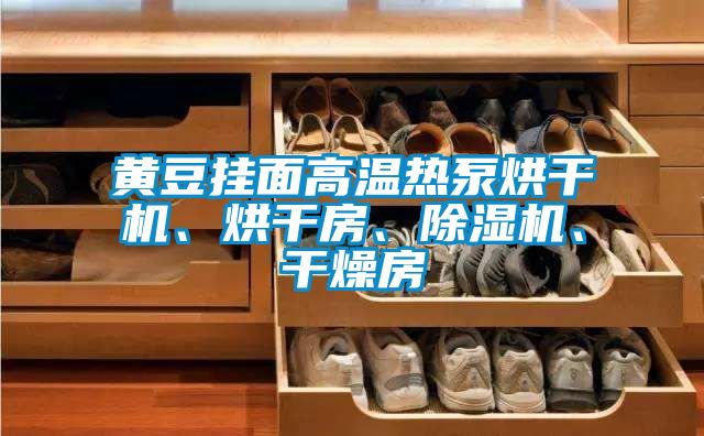 黃豆掛面高溫熱泵烘干機、烘干房、除濕機、干燥房