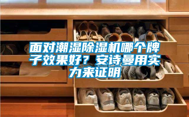 面對潮濕除濕機哪個牌子效果好?安詩曼用實力來證明